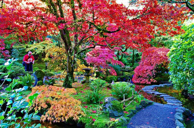 Butchart Gardens in October