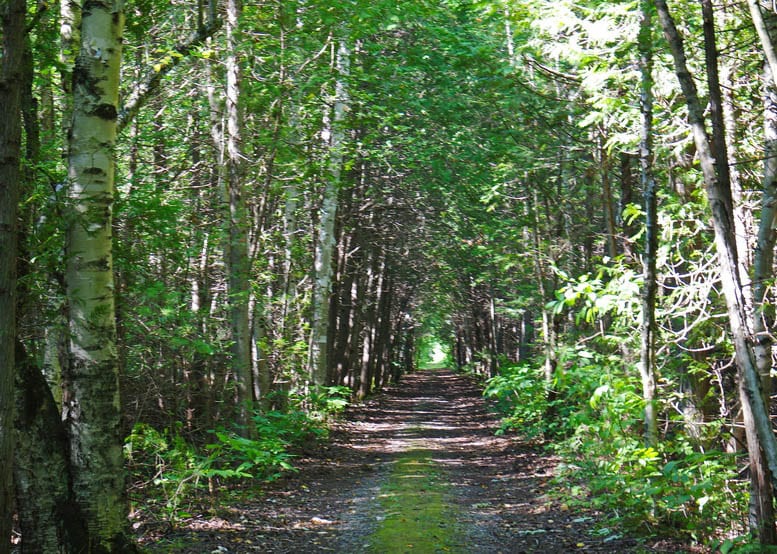 37 Long Distance & Backpacking Trails in Canada