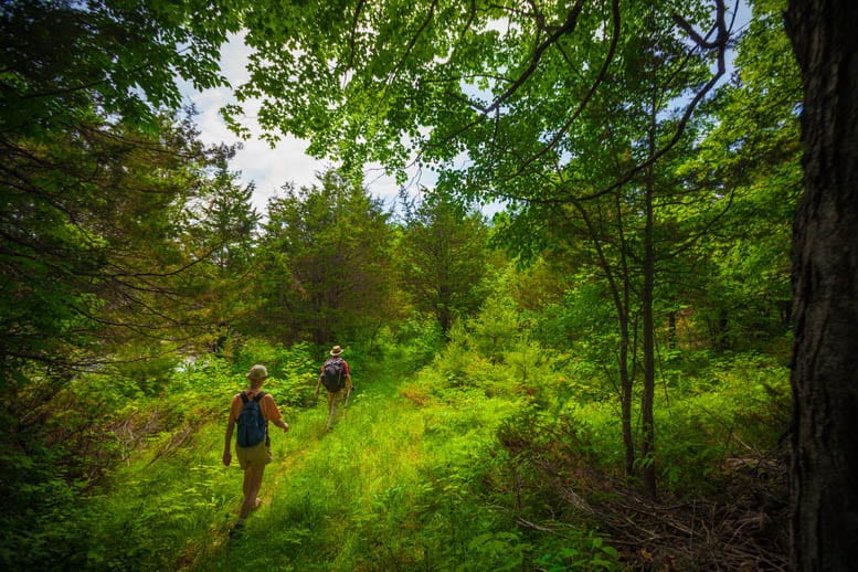 37 Long Distance & Backpacking Trails in Canada