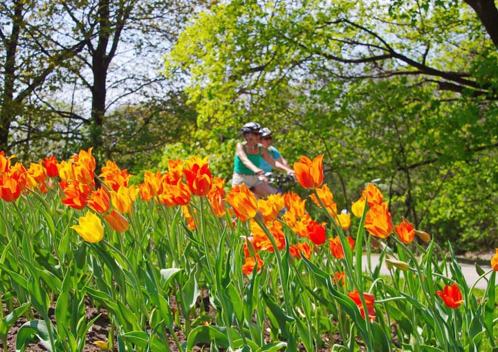 35 Fun, Weird and Interesting Facts About Ottawa