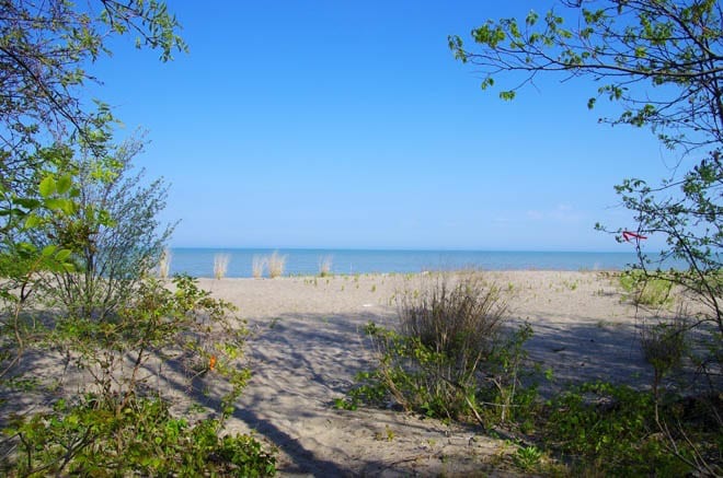 A Spring Trip To Point Pelee National Park One Of The Beaches In Point Pelee Np