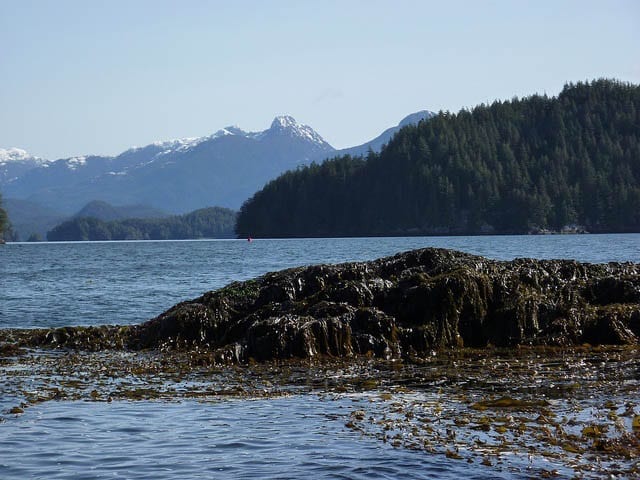 "Paddling in Clayoquot Sound off the west coast of Vancouver Island"