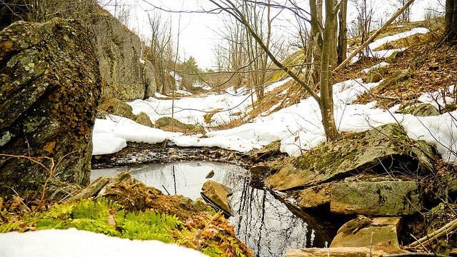 The Ganaraska hiking trail in March