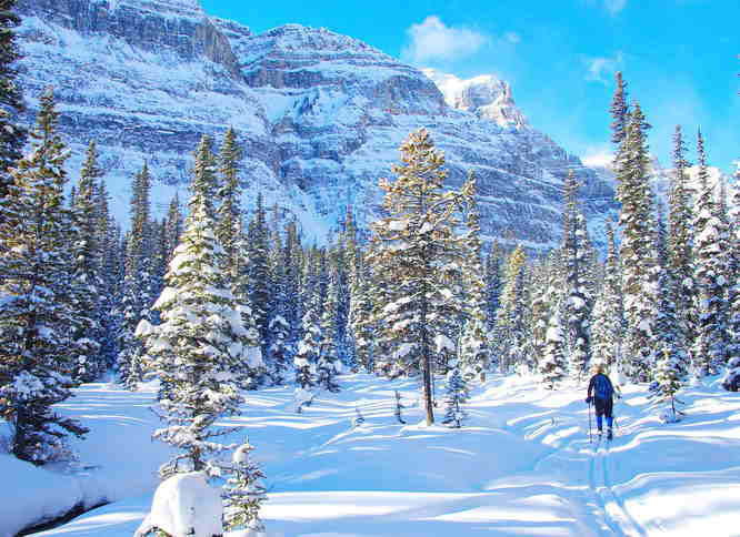 Cross-country skiing in Chickadee Valley, BC