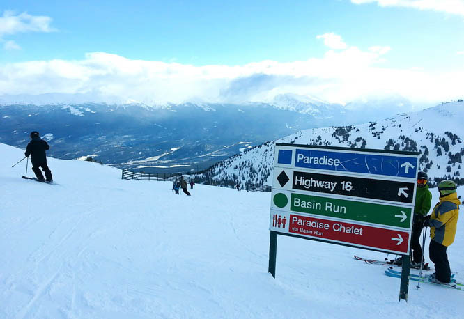 Nicely laid out runs at Marmot Basin Resort