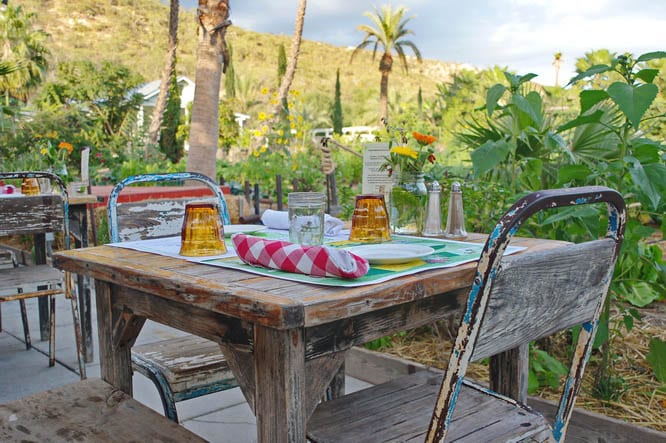 Rustic table, gorgeous setting - Flora Farm in Mexico