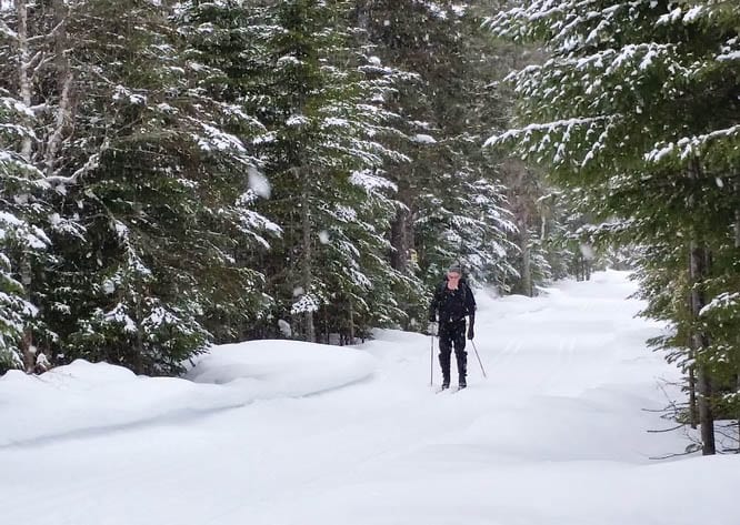 Fabulous cross-country skiing at Mont Grand-Fonds