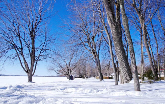 Shoreline - Fairmont Chateau Montebello