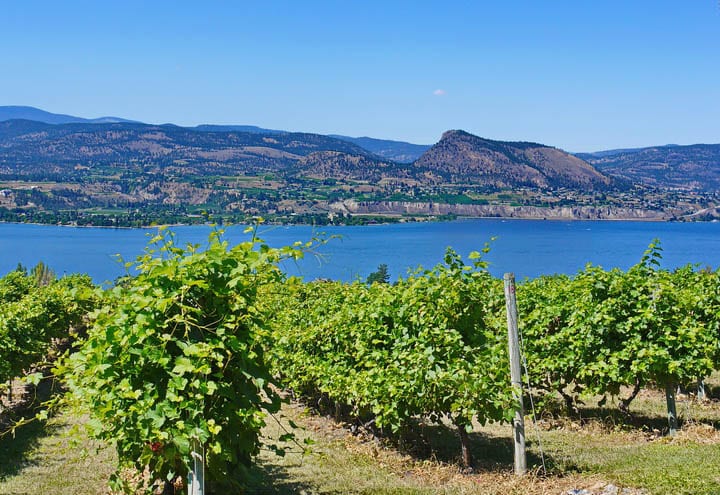 5 of the Best Bike Rides You'll Want to do in the South Okanagan