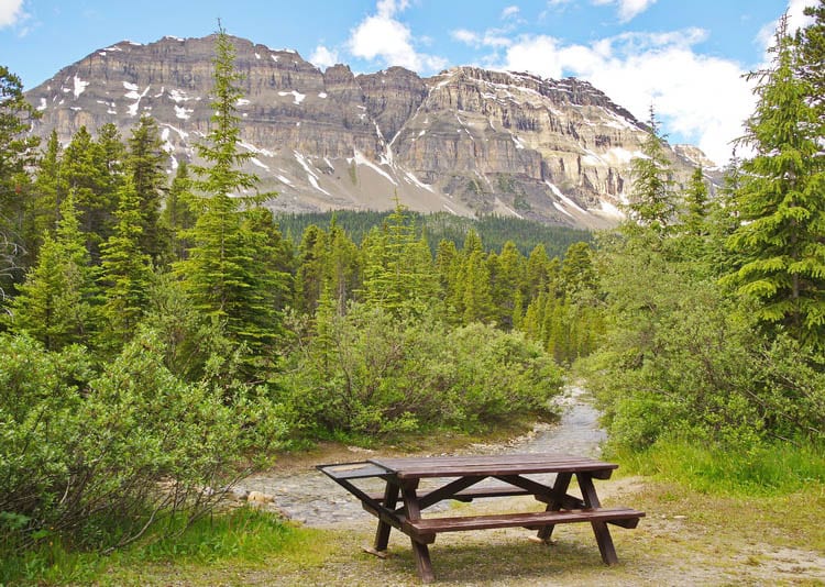 Everything You Need to Know About Camping on the Icefields Parkway