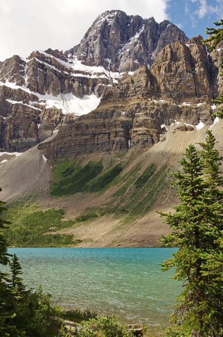 Everything You Need to Know About Camping on the Icefields Parkway