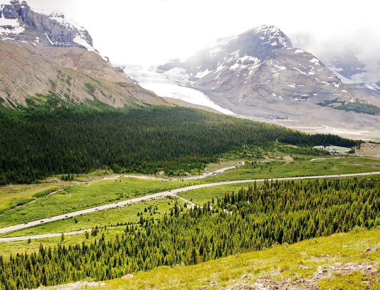 Everything You Need to Know About Camping on the Icefields Parkway