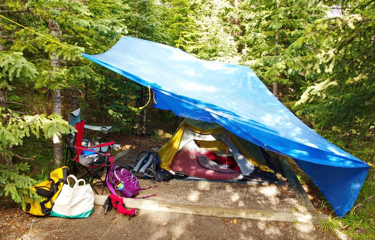 Everything You Need to Know About Camping on the Icefields Parkway