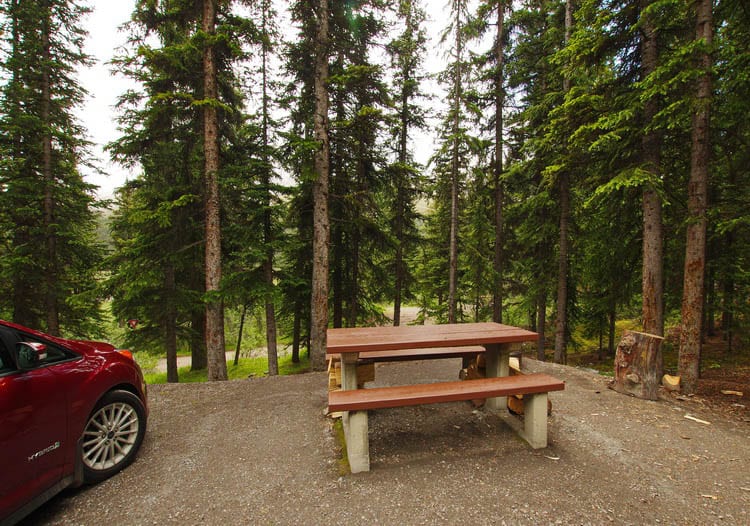 Everything You Need to Know About Camping on the Icefields Parkway