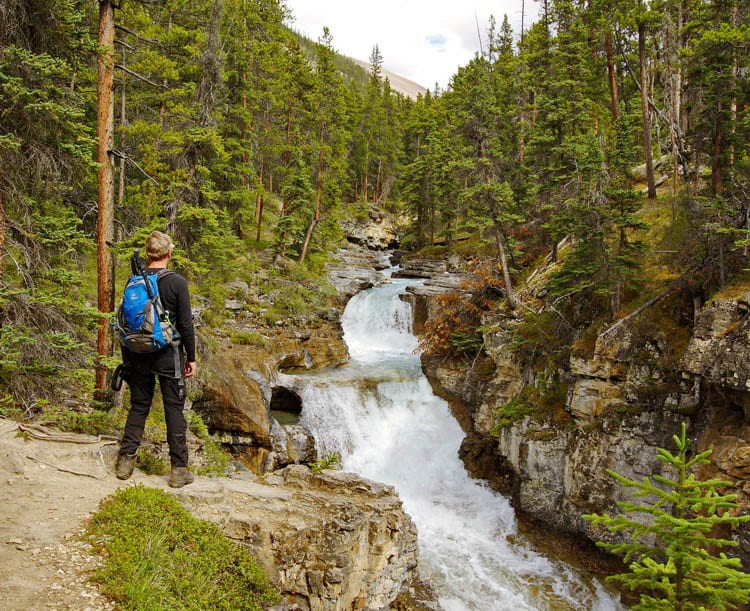 5 Stunning Hikes You'll Want to do Along the Icefields Parkway