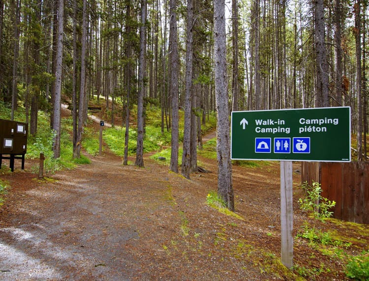 Everything You Need to Know About Camping on the Icefields Parkway