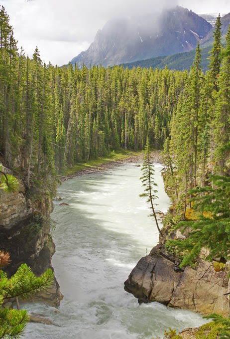 5 Stunning Hikes You'll Want to do Along the Icefields Parkway