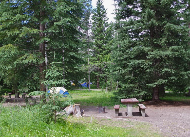 Everything You Need to Know About Camping on the Icefields Parkway