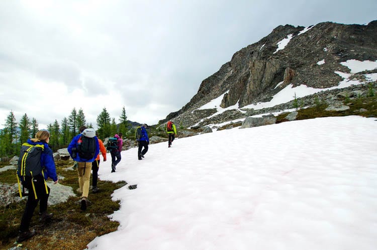 Why You'll Want to Try Heli-Hiking with CMH in the Bugaboos