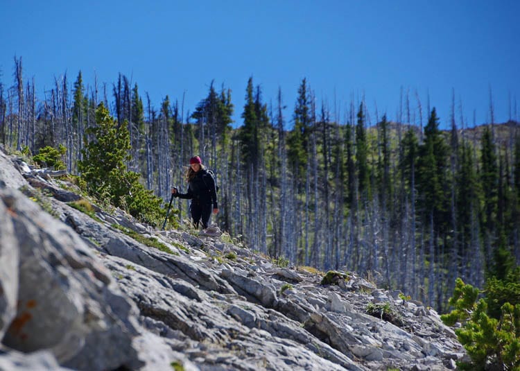 3 of the Best Hikes in the Crowsnest Pass Area