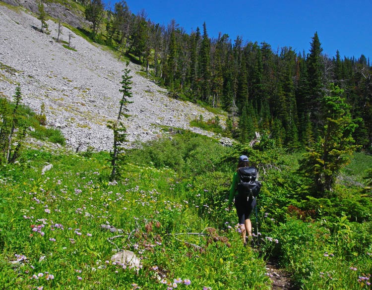 2 of the Best Hikes in the Crowsnest Pass Area