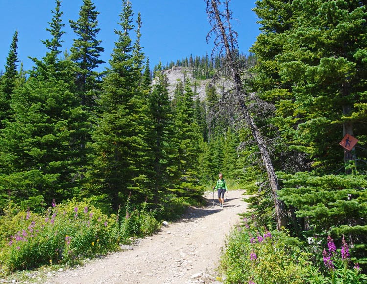 3 of the Best Hikes in the Crowsnest Pass Area