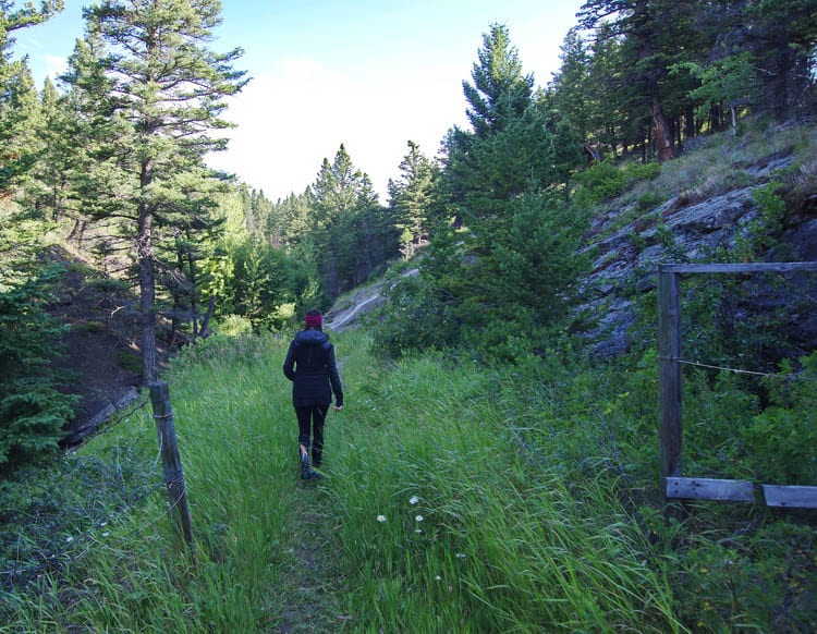 3 of the Best Hikes in the Crowsnest Pass Area
