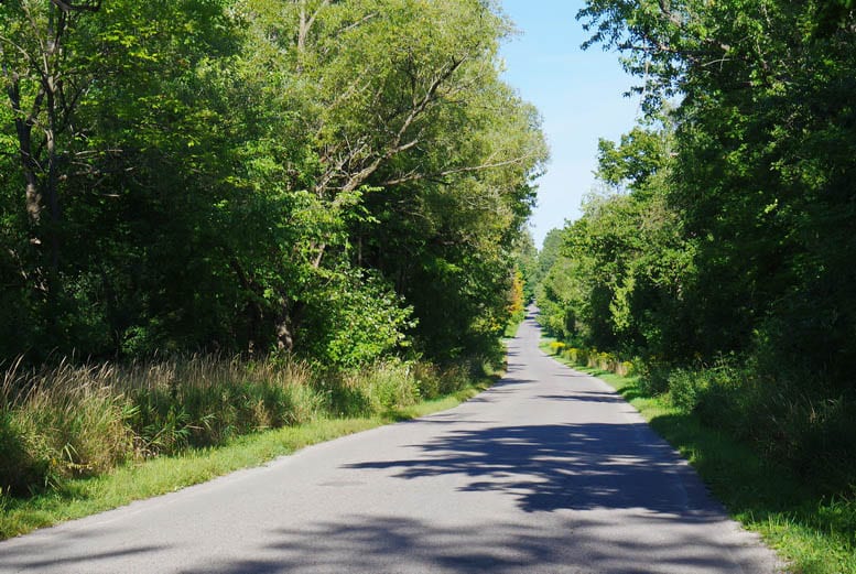 A Hike on the Northumberland Section of the Ganaraska Trail