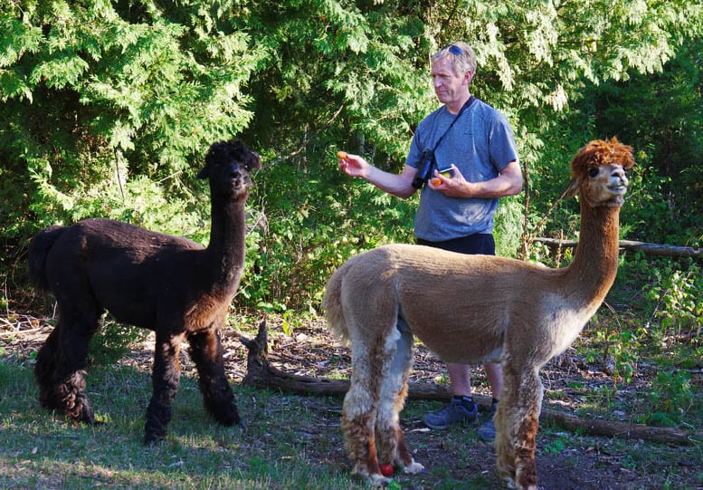 Island Spirits: An Off the Grid Vacation Experience on Rice Lake