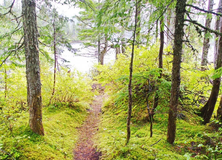 Backpacking the Sunshine Coast Trail: Mt. Troubridge to Saltery Bay