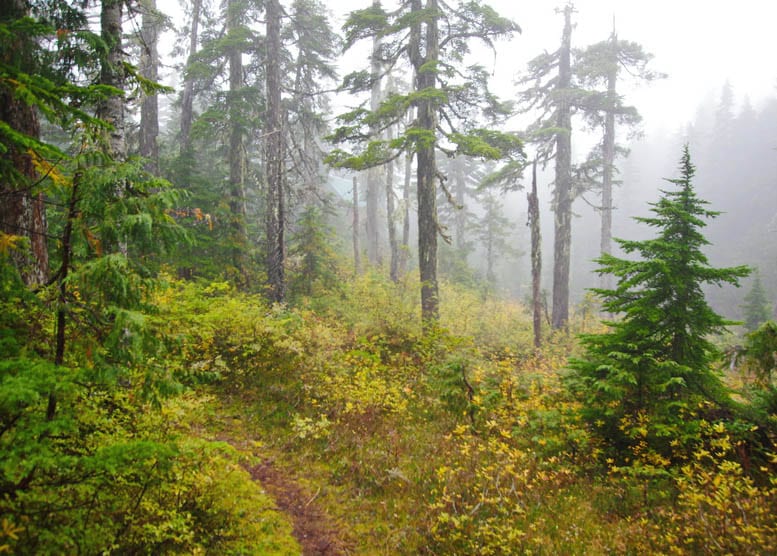 The Sunshine Coast Trail: What You Need to Know Before You Go