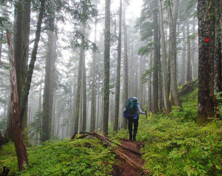Backpacking the Sunshine Coast Trail: Mt. Troubridge to Saltery Bay