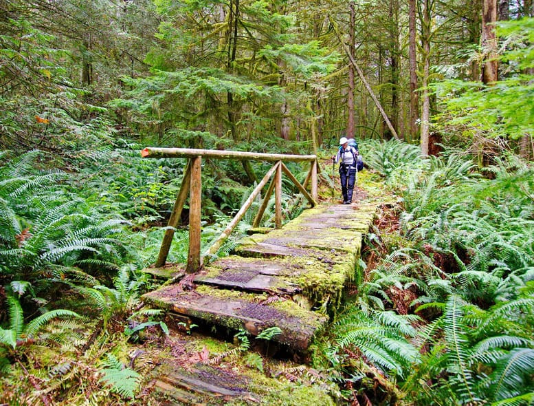 Backpacking the Sunshine Coast Trail: Mt. Troubridge to Saltery Bay