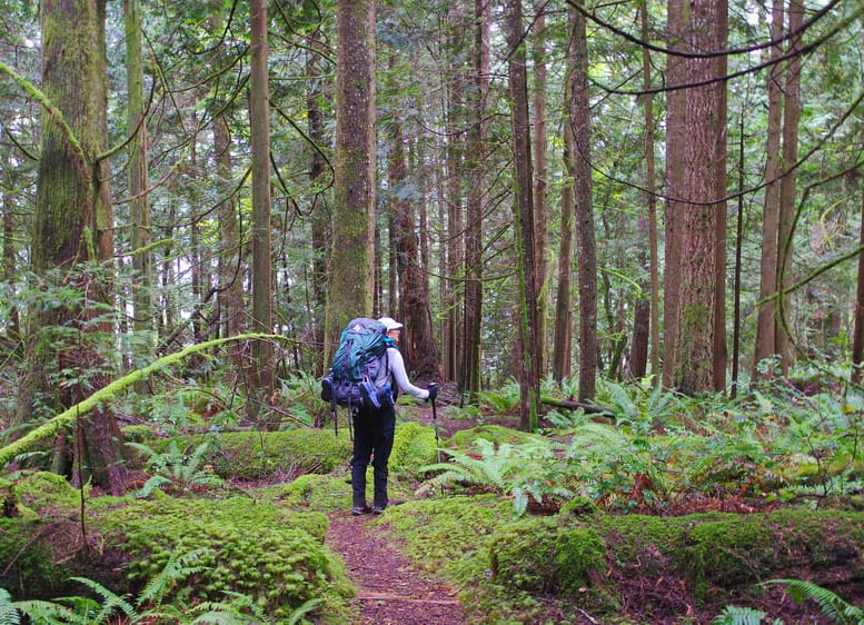 Backpacking the Sunshine Coast Trail: Mt. Troubridge to Saltery Bay
