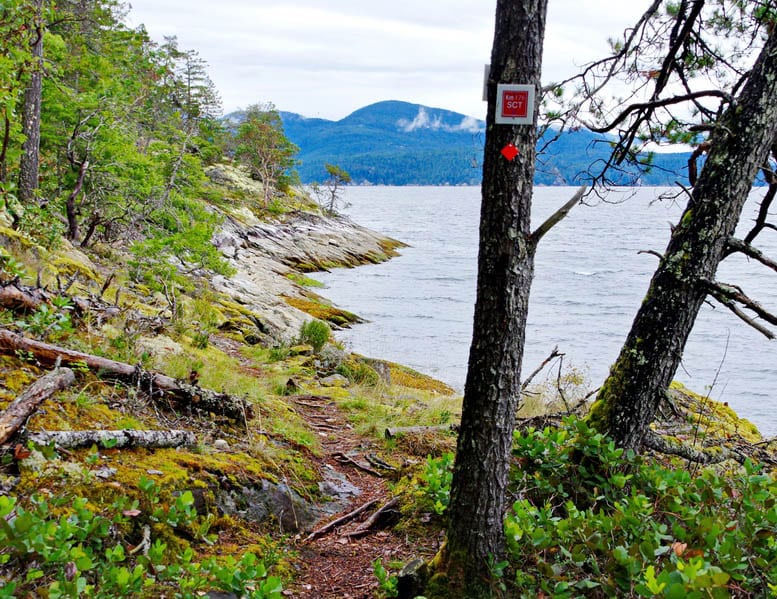 Backpacking the Sunshine Coast Trail: Mt. Troubridge to Saltery Bay