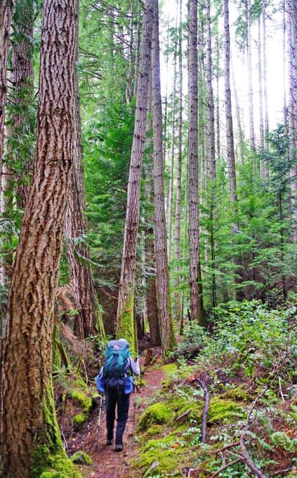 Backpacking the Sunshine Coast Trail: Mt. Troubridge to Saltery Bay