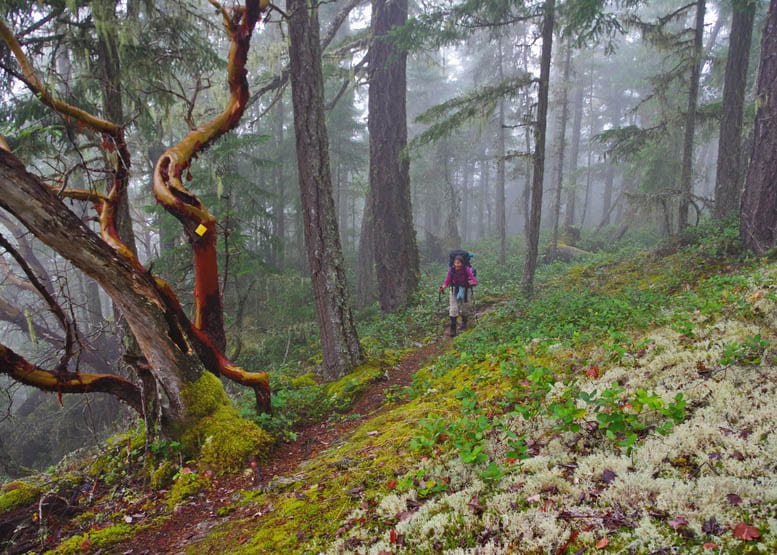 Backpacking the Sunshine Coast Trail: Sarah Point to Powell River