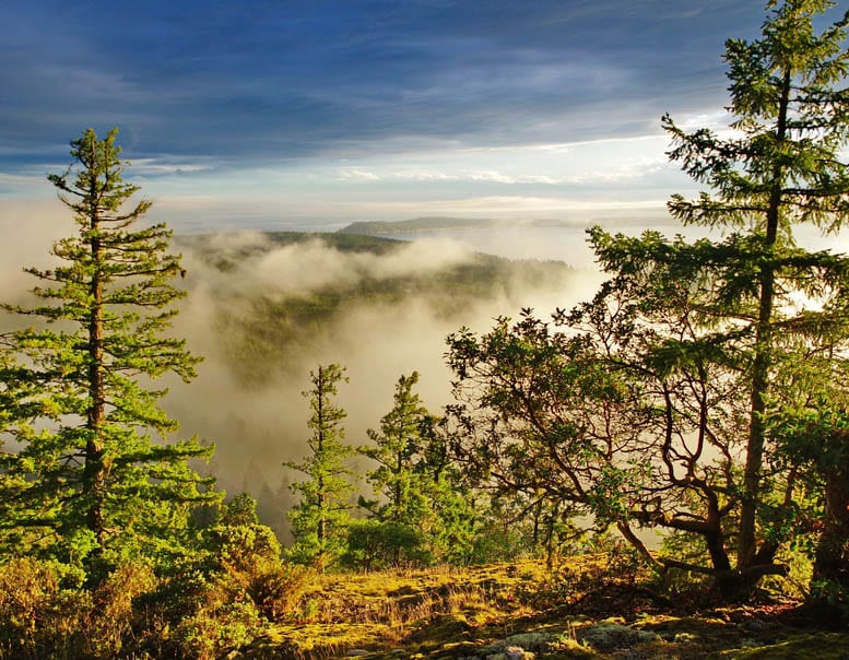 Backpacking the Sunshine Coast Trail: Sarah Point to Powell River