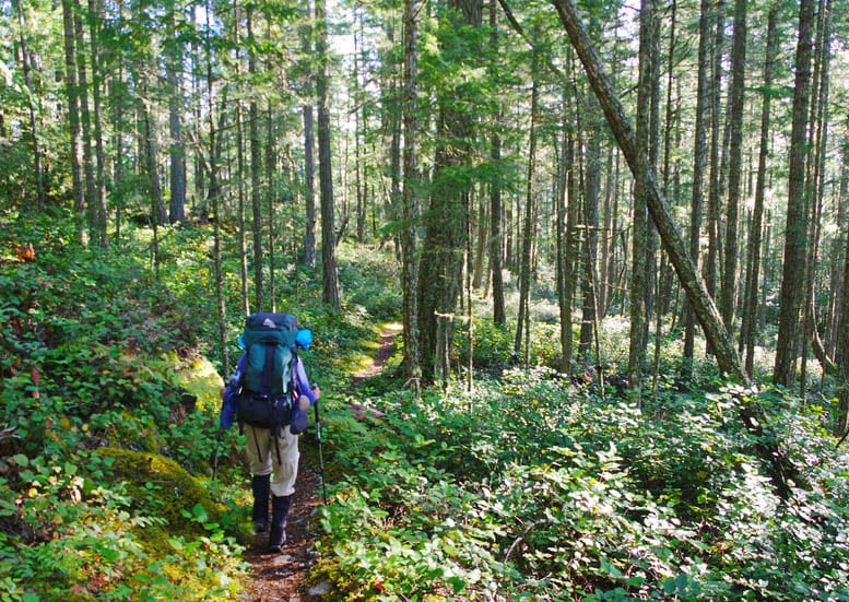 Backpacking the Sunshine Coast Trail: Sarah Point to Powell River
