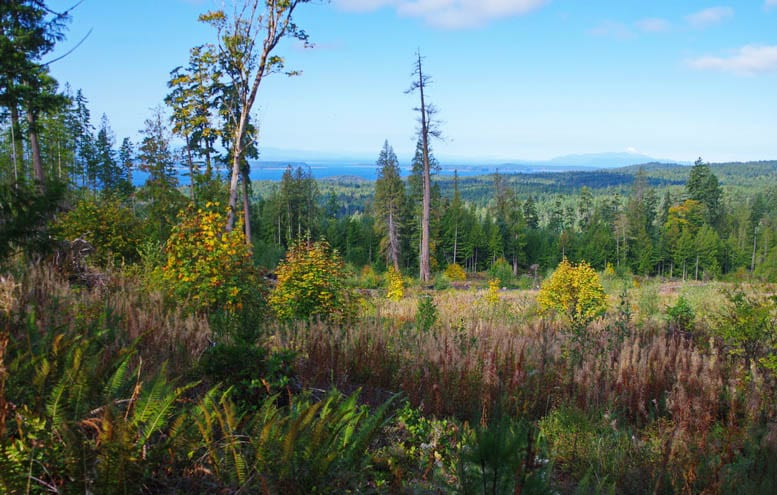 Backpacking the Sunshine Coast Trail: Sarah Point to Powell River
