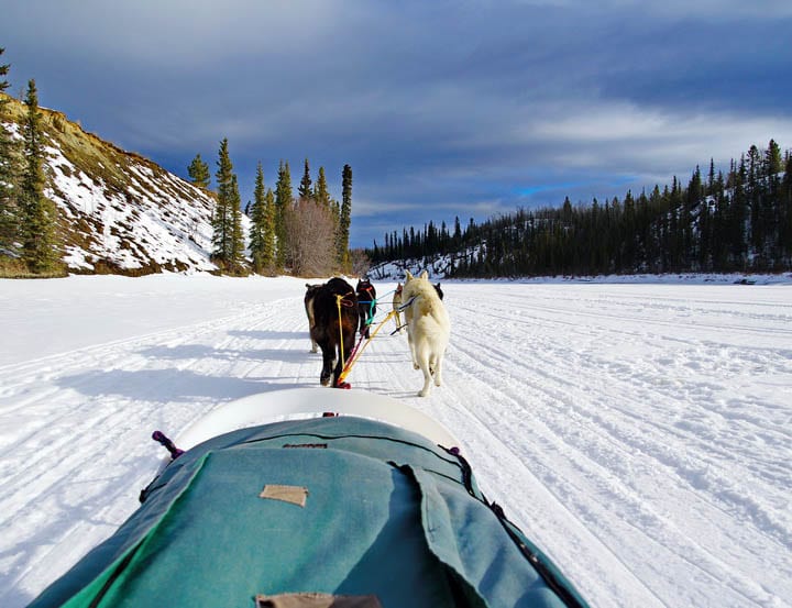A Winter Holiday in the Yukon - Why You Need to Go
