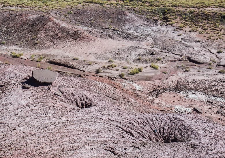 Discover the Beauty of Petrified Forest National Park in 17 Photos