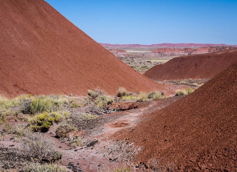 Discover the Beauty of Petrified Forest National Park in 17 Photos