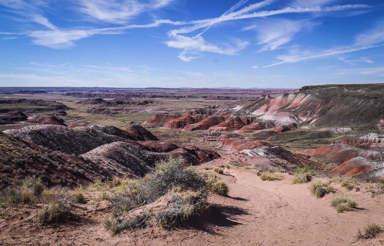 Discover the beauty of Petrified Forest National Park iin 17 Photos