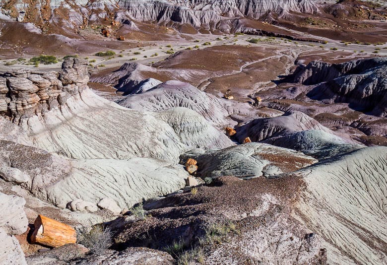 Discover the beauty of Petrified Forest National Park in 17 Photos