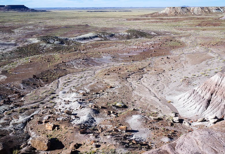 Discover the beauty of Petrified Forest National Park in 17 Photos