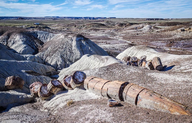 Discover the beauty of Petrified Forest National Park in 17 Photos