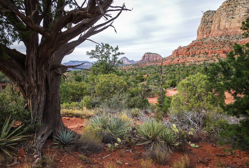 The Stunning Courthouse Butte Hike in Sedona