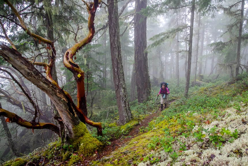 Highlights of 2016 - Backpacking the Sunshine Coast Trail