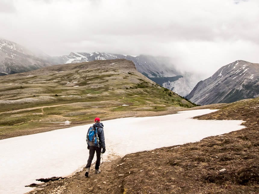 The Parker Ridge Hike on the Icefields Parkway